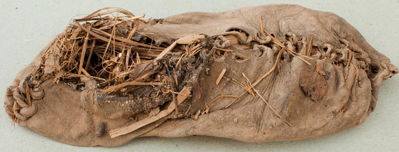 5500_year_old_shoe_1.jpg