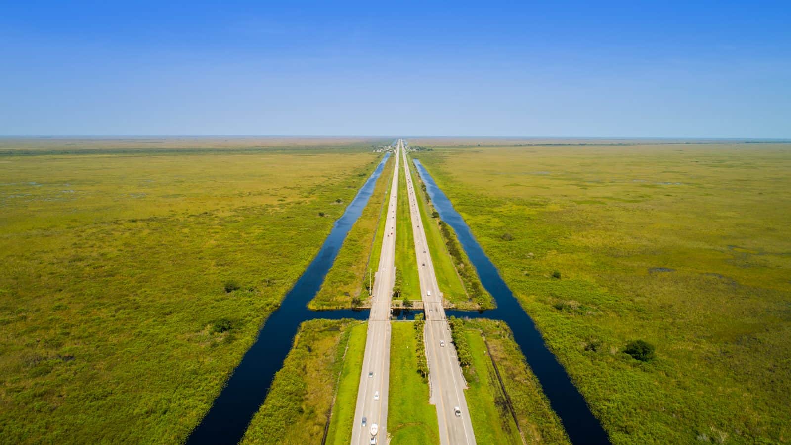 alligator-alley-in-florida.jpg