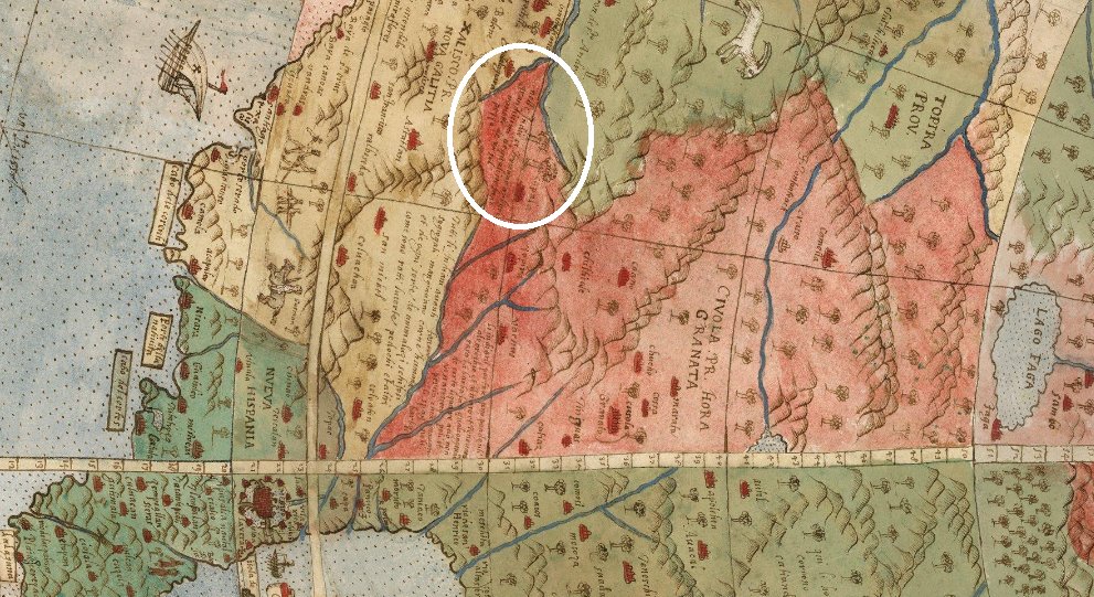 arboles gigantes de urbano monte xalisco 1587.jpg