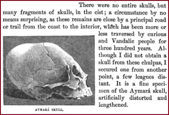 aymara-skull.jpg
