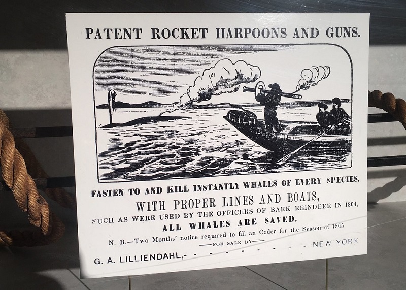 bazooka_1864.jpg