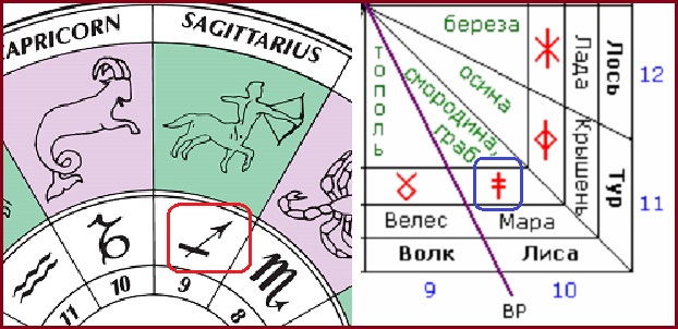 Signs-of-the-Zodiac-astrologyx.jpg