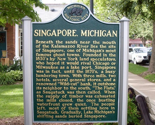 singapore_michigan.jpg