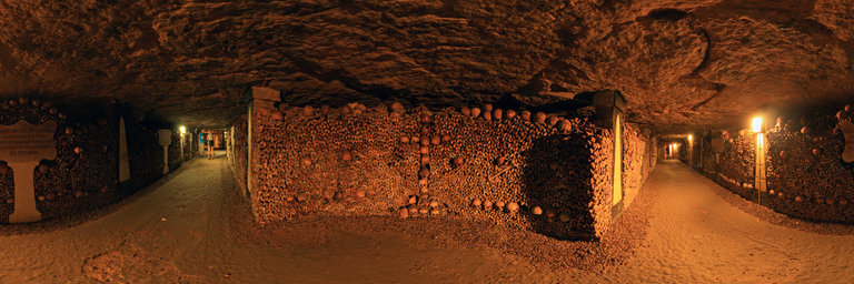 skulls-paris.jpg