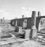 Timgad_15.jpg