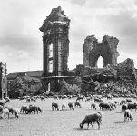 dresden_bombing_5_5.jpg