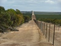 rabbit_proof_fence.jpg