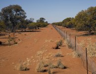 rabbit_proof_fence_1.jpg