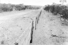 rabbit_proof_fence_2.jpg