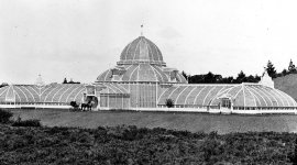 Conservatory of Flowers 18795.jpg