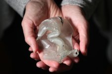 CA-Fires-2017_melted glass_2.jpg