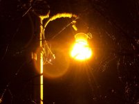 street_lights_5.jpg
