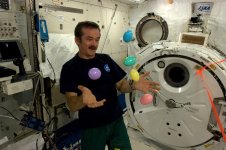 eater_eggs_iss.jpg
