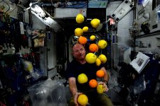 space_oranges_iss.jpg