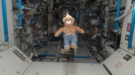 teddy_bear_iss.jpg