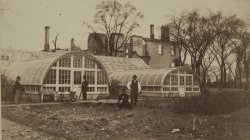 Chicago Fire of 1871: E.B.McCaggs Conservatory