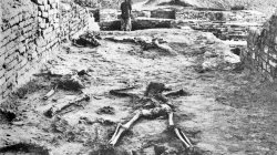 Possible giant skeleton at Mohenjo-daro.